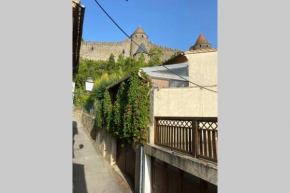 Maison au pied de la cité médiévale de Carcassonne